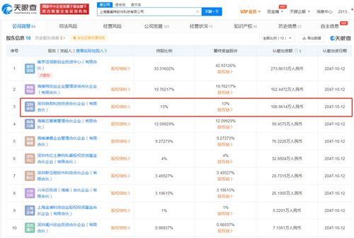計(jì)算機(jī)軟硬件開發(fā)與銷售 推動(dòng)數(shù)字時(shí)代的雙引擎